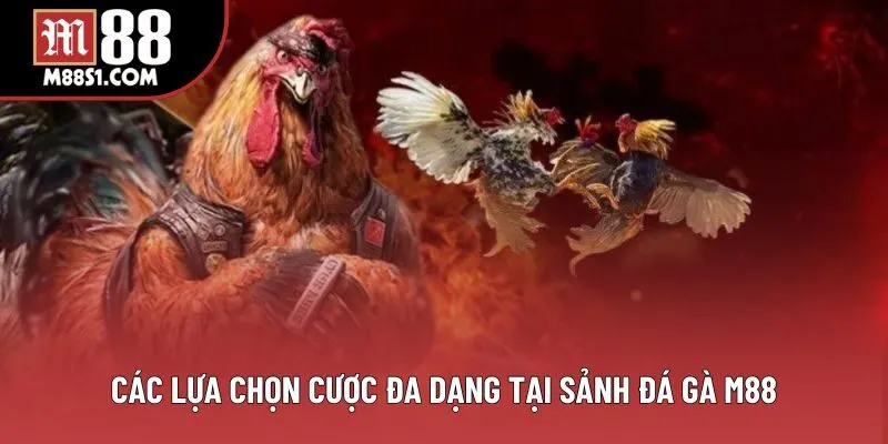 Các lựa chọn cược đa dạng tại sảnh đá gà M88